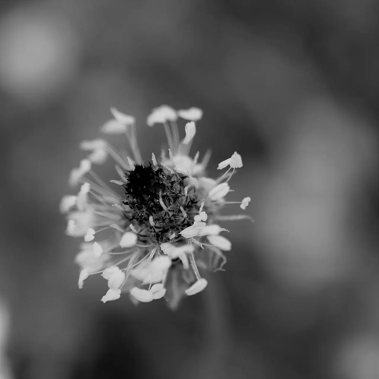 Sådan bygger du en antiinflammatorisk rutine